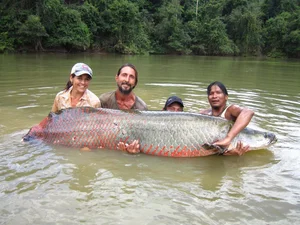 Exploring the Wild: 15 Most Unique Animals of the Amazon Rainforest - image 3