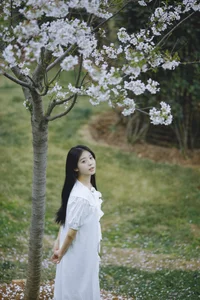 Modern Aesthetics: YiTuYu Art Language Vol.4616 Z_solla Artistic Photography Gallery - image 0