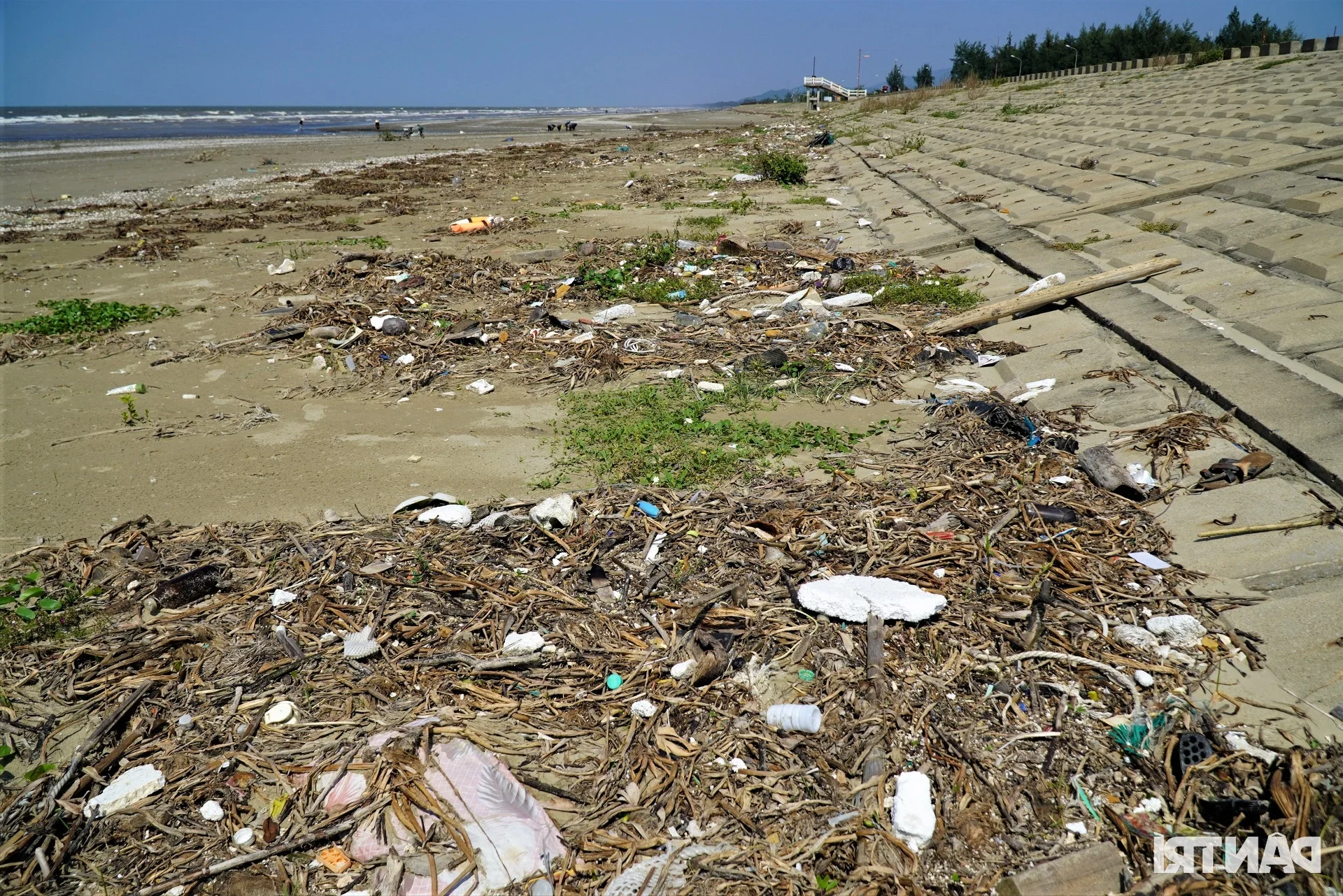 Environmental Concerns as Beautiful Vietnamese Beach Faces Trash and Grazing After Tourist Season