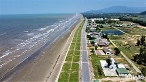 Environmental Concerns as Beautiful Vietnamese Beach Faces Trash and Grazing After Tourist Season - image 3