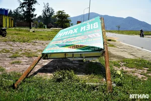 Environmental Concerns as Beautiful Vietnamese Beach Faces Trash and Grazing After Tourist Season - image 8