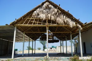 Environmental Concerns as Beautiful Vietnamese Beach Faces Trash and Grazing After Tourist Season - image 1