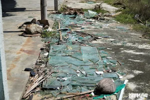 Environmental Concerns as Beautiful Vietnamese Beach Faces Trash and Grazing After Tourist Season - image 10