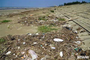 Environmental Concerns as Beautiful Vietnamese Beach Faces Trash and Grazing After Tourist Season - image 0