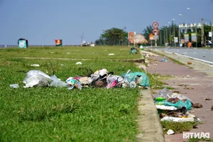 Environmental Concerns as Beautiful Vietnamese Beach Faces Trash and Grazing After Tourist Season - image 4