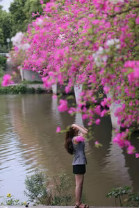 Vibrant Pink Bougainvillea Bridge: Ecopark Hung Yen's Hottest New Check-in Spot Captivating Youth - image 6