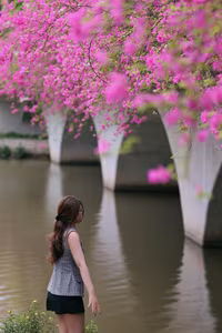 Vibrant Pink Bougainvillea Bridge: Ecopark Hung Yen's Hottest New Check-in Spot Captivating Youth - image 2