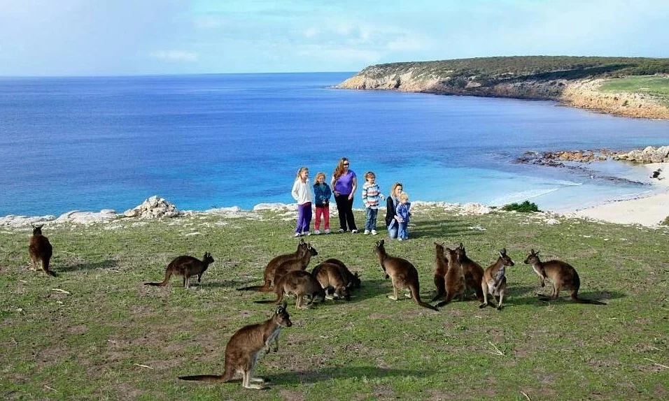 Discover the Top 10 Friendliest Countries in the World for Your Next Global Adventure