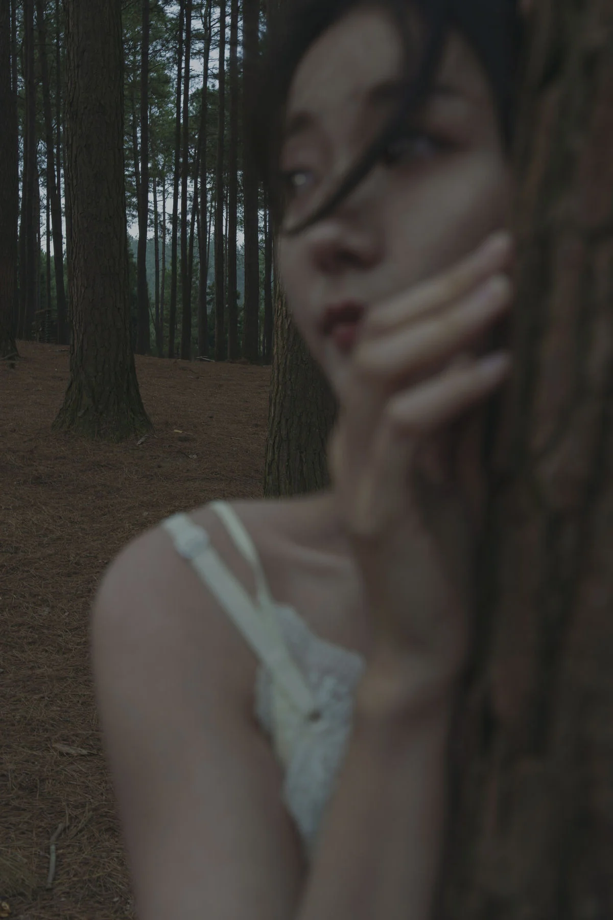 Ethereal Landscapes: YiTuYu Art Language Vol.6604 Featuring Mu Mu