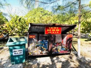 Action for Green Ocean: 10 Award-Winning Photos for Marine Conservation - image 10