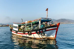 Action for Green Ocean: 10 Award-Winning Photos for Marine Conservation - image 3