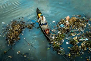 Action for Green Ocean: 10 Award-Winning Photos for Marine Conservation - image 6