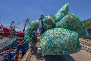 Action for Green Ocean: 10 Award-Winning Photos for Marine Conservation - image 8