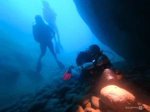 Explore the Underwater Wonders: Scuba Diving and Coral Reefs in Nha Trang Bay - image 8
