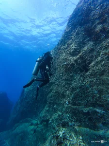 Explore the Underwater Wonders: Scuba Diving and Coral Reefs in Nha Trang Bay - image 6