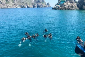 Explore the Underwater Wonders: Scuba Diving and Coral Reefs in Nha Trang Bay - image 0