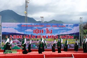 Son La New Rice Festival: A Cultural Celebration of National Day - image 2