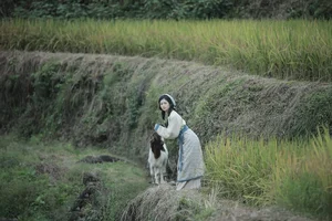 YiTuYu Art Language Vol.5809: Featuring the Stunning Dai Bu Zhu De Yi Mi - image 0