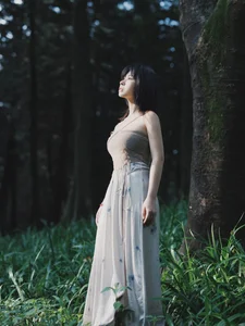 YiTuYu Art Language Vol.4668: Exploring the Visual Style of Xiao Tian - image 0