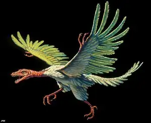 Archaeopteryx Mystery: Primitive Bird Reveals Dinosaur Evolution's Turning Point to Birds - image 4