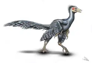 Archaeopteryx Mystery: Primitive Bird Reveals Dinosaur Evolution's Turning Point to Birds - image 6