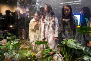 Exploring the Architectural Marvel: Visiting the Most Beautiful Museum in Central Vietnam - image 10