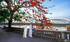 Top 7 Vietnam Tourist Attractions Recommended by Indian Media - image 2