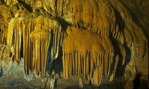 Top 7 Vietnam Tourist Attractions Recommended by Indian Media - image 6