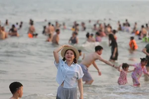 Discover Thien Cam Beach: The Pristine Coastal Gem of Ha Tinh, Vietnam - image 5