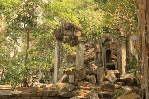 The Forgotten Temples of Angkor: A Journey Through Time - image 3