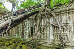 The Forgotten Temples of Angkor: A Journey Through Time - image 2
