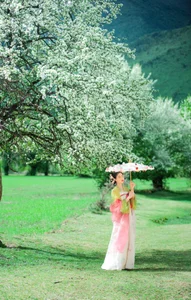 Elegant Visuals: YiTuYu Art Language Vol.4935 Featuring Xia Xia - image 29