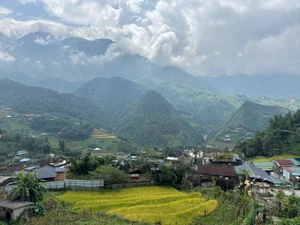 Sa Pa Golden Season Ends Early: A Guide to Vietnam's Rice Terraces - image 0