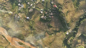 Sa Pa Golden Season Ends Early: A Guide to Vietnam's Rice Terraces - image 5