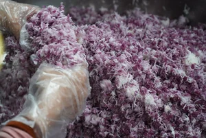 Vietnam’s Massive Charity Feast: 330 Tons of Food for Pilgrims - image 5