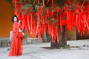 Creative Charisma: Bu Ke Ai De He He Miao in Vol.6053 - image 6