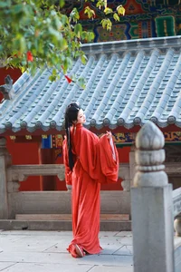 Creative Charisma: Bu Ke Ai De He He Miao in Vol.6053 - image 1