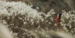 Art Language Vol.6550 Xian Lu - Sophisticated Artistic Vision and Style - image 8