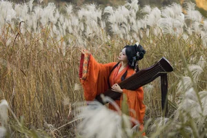 Art Language Vol.6550 Xian Lu - Sophisticated Artistic Vision and Style - image 14