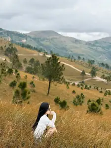 Discover Phoenix Peak Quang Ninh: Mesmerizing Golden Grass Hills for an Unforgettable Trekking Experience - image 0