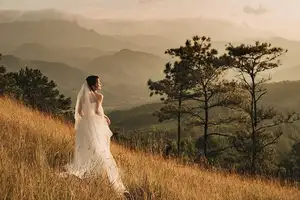 Discover Phoenix Peak Quang Ninh: Mesmerizing Golden Grass Hills for an Unforgettable Trekking Experience - image 7