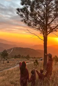Discover Phoenix Peak Quang Ninh: Mesmerizing Golden Grass Hills for an Unforgettable Trekking Experience - image 2