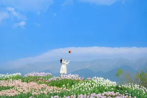 Ethereal Beauty in Flower Fields: YiTuYu Vol.8915 Disexi Si Ning - image 2