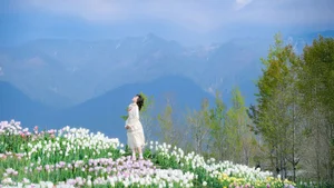 Ethereal Beauty in Flower Fields: YiTuYu Vol.8915 Disexi Si Ning - image 1
