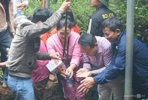 Spiritual Journey: Pilgrims Brave the Rain at Sacred Mountain Peaks to Collect Holy Water for Good Luck and Ancient Blessings - image 3
