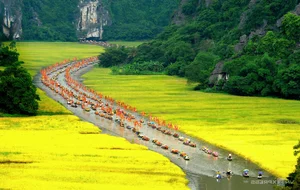 The Heritage City of Hoa Lu: Urban Transformation and Preservation - image 5