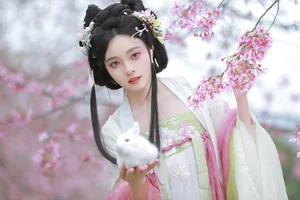 YITUYU Art Language: Capturing the Ethereal Beauty of Cherry Blossom Season 2024 - image 1