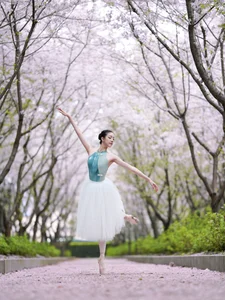 Exploring the Elegance of Xiao Xong in YiTuYu Art Language Vol.6883 - image 2