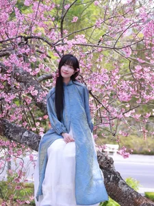 Modern Vietnamese Ao Dai Fashion Trends for Lunar New Year 2026: Chic Street Style Inspiration for the Festive Season - image 1