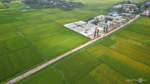 Quang Ngai Countryside: A Floral Paradise Along the Rural Roads - image 1